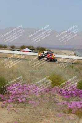 media/Feb-04-2023-SoCal Trackdays (Sat) [[8a776bf2c3]]/Turn 15 Inside Blooming (1050am)/